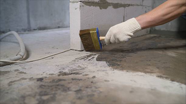 24/7 Emergency Wet Basement Repair experts in Vermontville, MI